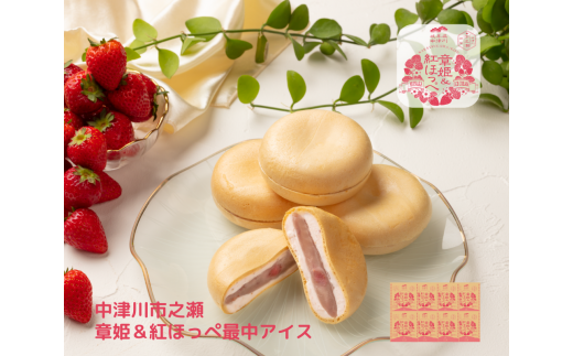 y򕌌ÐszÐsV u͕Pgق؍ŒACXv 8 F4N-1836