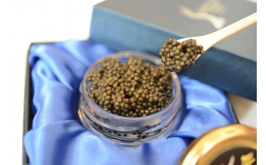 中津川キャビア S Caviar オシェトラ（ロシアチョウザメ） F4N-1210