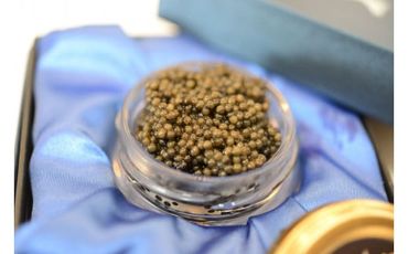 中津川キャビア S Caviar 食べ比べ2種 F4N-1211