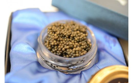 y򕌌ÐszÐLrA S Caviar Hה2 F4N-1211