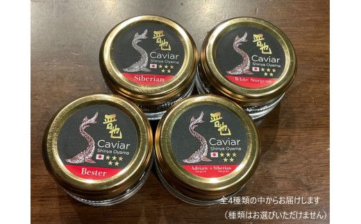 中津川キャビア S Caviar 食べ比べ2種 F4N-1211