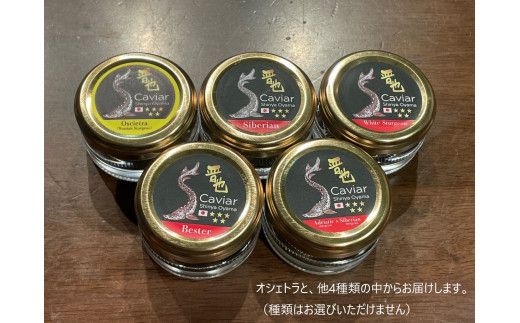 中津川キャビア S Caviar 食べ比べ2種（オシェトラ＋1種） F4N-1212