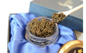 中津川キャビア S Caviar 食べ比べ5種（オシェトラ＋4種） F4N-1217