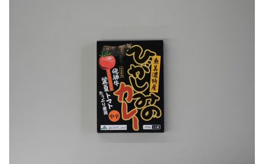 【数量限定】JAひがしみのオリジナル特産品セット2 飛騨牛カレー・とまとじゅうす F4N-1222