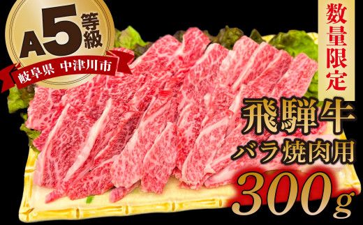 【数量限定！チルド（冷蔵）発送！】「飛騨牛」A5等級バラ 300g 鉄板焼き 網焼き 焼肉 バーベキュー BBQ F4N-1224