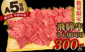 【数量限定！チルド（冷蔵）発送！】「飛騨牛」A5等級もも 300g 鉄板焼き 網焼き 焼肉 バーベキュー BBQ F4N-1226