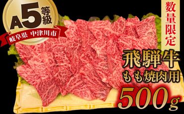 【数量限定！チルド（冷蔵）発送！】「飛騨牛」A5等級もも 500g 鉄板焼き 網焼き 焼肉 バーベキュー BBQ F4N-1238