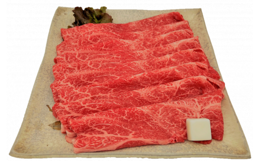 【数量限定！チルド（冷蔵）発送！】「飛騨牛」A5等級肩肉 500g すき焼き しゃぶしゃぶ F4N-1240