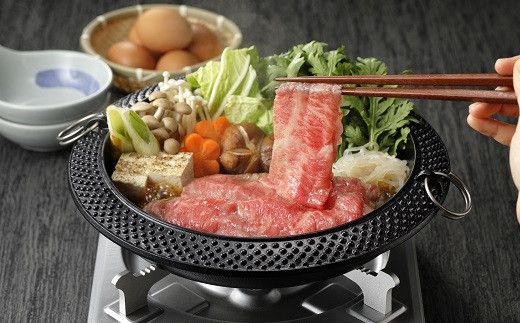 【数量限定！チルド（冷蔵）発送！】「飛騨牛」A5等級ロース 500g すき焼き しゃぶしゃぶ F4N-1241