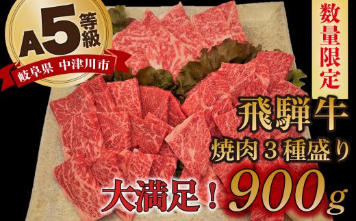 【数量限定！チルド（冷蔵）発送！】「飛騨牛」A5等級 焼肉3種盛り！ ロース・もも・バラ各300g 鉄板焼き 網焼き 焼肉 バーベキュー BBQ F4N-1250