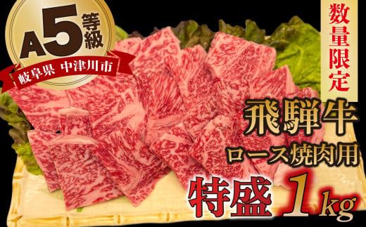 【数量限定！チルド（冷蔵）発送！】「飛騨牛」A5等級 ロース 1kg 鉄板焼き 網焼き 焼肉 バーベキュー BBQ F4N-1260