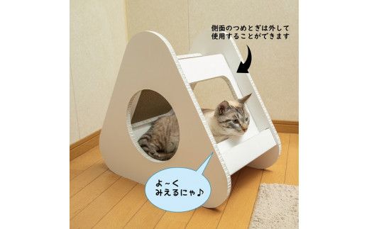 猫のつめとぎ＋House「さんかく」（ぷらすはうすさんかく） F4N-1288