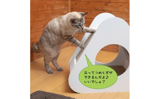 猫のつめとぎ＋House「さんかく」（ぷらすはうすさんかく） F4N-1288