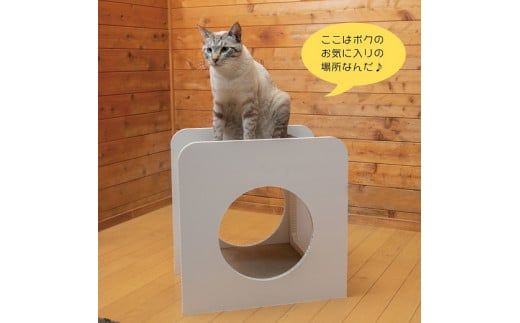 猫のつめとぎ＋House「しかく」（ぷらすはうすしかく） F4N-1289