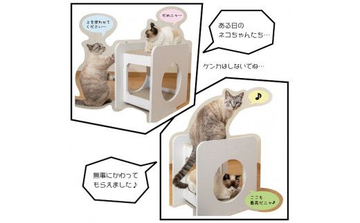 猫のつめとぎ＋House「しかく」（ぷらすはうすしかく） F4N-1289