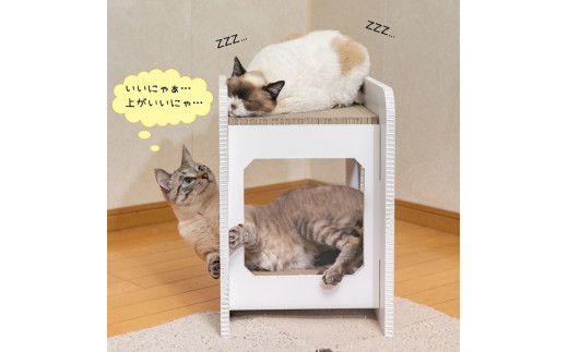 猫のつめとぎ＋House「しかく」（ぷらすはうすしかく） F4N-1289