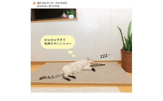 猫のつめとぎ（大）【かなり】おおきめサイズで2枚入り! F4N-1285