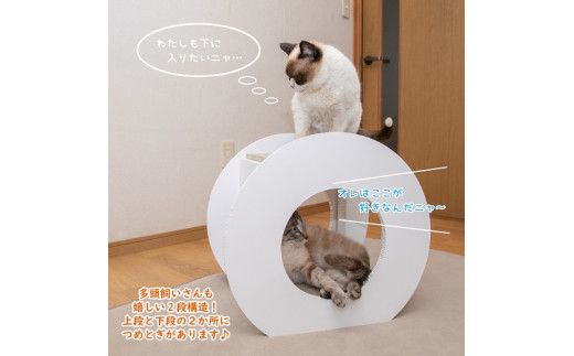 猫のつめとぎ＋House「まる」（ぷらすはうすまる） F4N-1287