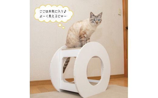 猫のつめとぎ＋House「まる」（ぷらすはうすまる） F4N-1287