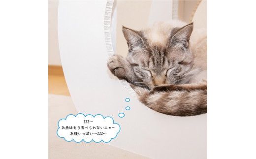 猫のつめとぎ＋House「まる」（ぷらすはうすまる） F4N-1287