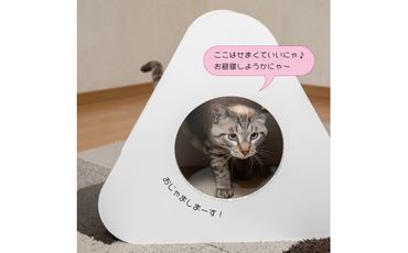 猫のつめとぎ＋House「さんかく」（ぷらすはうすさんかく） F4N-1288