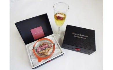 y򕌌ÐszMegreen Premium dry Strawberry(O[v~AhCXgx[) F4N-1604