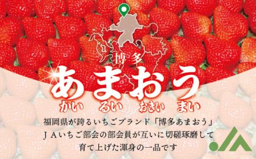 博多あまおう（冬） 約250g～270g×2パック 計約500g～540g【2024年12月上旬～2025年1月下旬発送予定】いちご 苺 イチゴ 果物 フルーツ