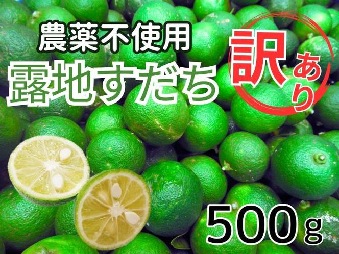 訳あり【Ｂ級】露地スダチ　500g　※9月中旬頃から発送　※離島不可