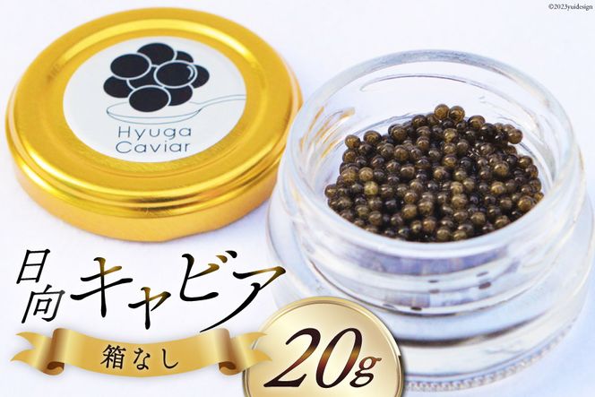 y{茧szLrA LrA (Hyuga Caviar) 20g Ȃ [EBYENGCeBu {茧 s 452060891] Ⓚ { Y `EU tbV r