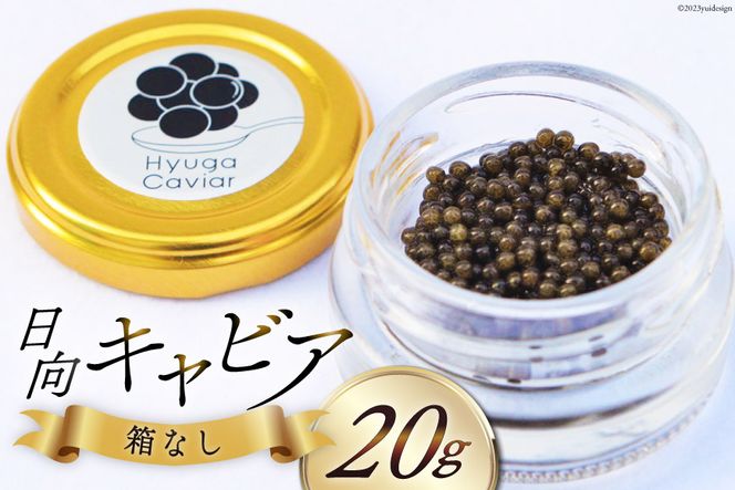 キャビア 日向キャビア (Hyuga Caviar) 20g 箱なし [ウィズ・クリエイティブ 宮崎県 日向市 452060891] 冷凍 宮崎 国産 チョウザメ フレッシュ 瓶