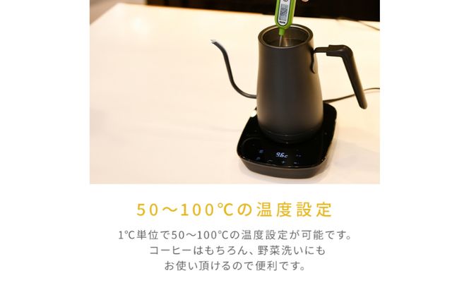 温度調節機能付き電気ケトル（1000W/0.8L） EKG-C801(B) 77678 F4N-2564