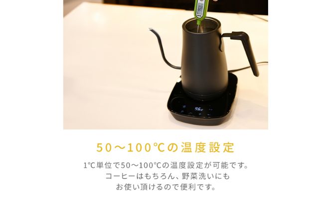 温度調節機能付き電気ケトル（1000W/0.8L） EKG-C801(B) 77678 F4N-0708