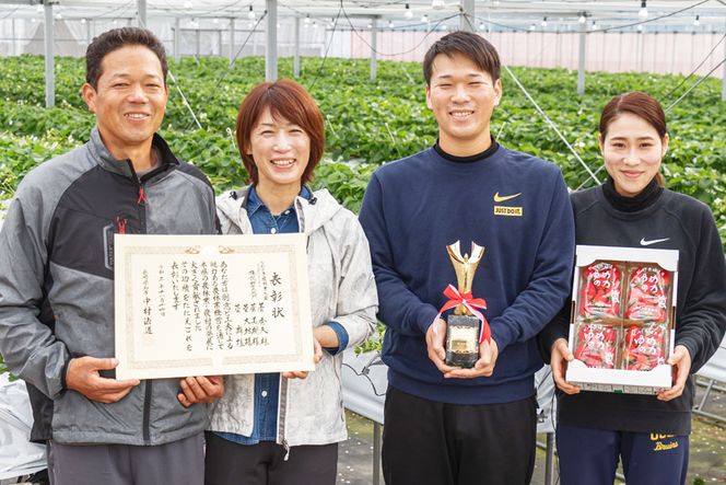 【期間限定発送】CF106 長崎県知事賞受賞【 厳選 いちご 】「 ゆめのか （2L～3L）」 260g × 4パック ＜12月までにお届け＞