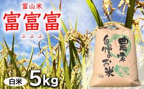 【新米予約】農家直送「 富富富 」5kg（白米）｜富山米 ふふふ　※北海道・沖縄・離島への配送不可　※2024年9月下旬頃より順次発送予定