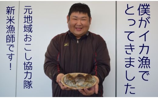 【先行予約】【2027年3月下旬以降順次発送】築上町で捕れた「 コウイカ 」約1kg (3～5杯)《築上町》【明青丸】[ABCB001]