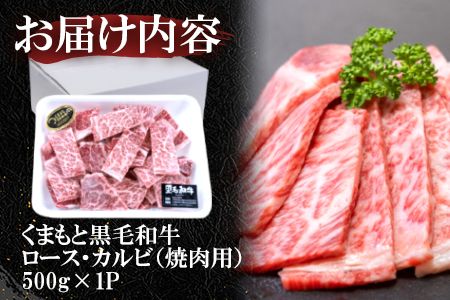 くまもと黒毛和牛 焼肉用ロース・カルビ 500g 《60日以内に出荷予定(土日祝除く)》 熊本県 長洲町 くまもと黒毛和牛 黒毛和牛 牛肉 肉 焼き肉 株式会社 羽根(出荷元：株式会社酒湊)---sn_fhnroka_60d_24_14500_500g---