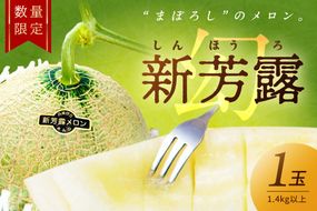【先行予約／数量限定15】新芳露メロン1玉(2026年7月中旬～発送)　FK00012