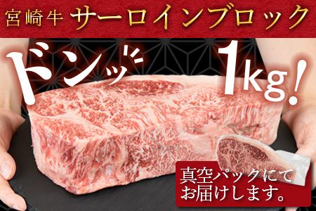 ＜宮崎牛 サーロインブロック 1kg＞翌月末迄に順次出荷【a0333_ty】