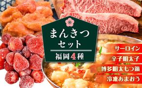 福岡満喫セット 《築上町》【株式会社MEAT PLUS】[ABBP118]