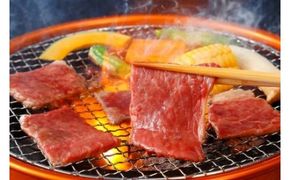 ※HNP-12飛騨牛焼肉用もも・かた(赤身)肉400g