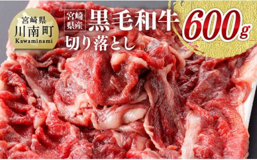 宮崎県産黒毛和牛 切り落とし 600g 【 肉 牛肉 黒毛和牛 精肉 】 [G0511]