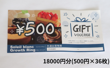 BV-6 店舗利用券18000円分