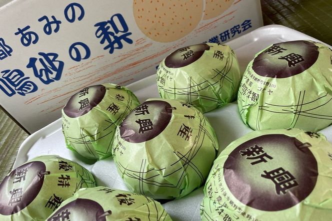 先行予約／数量限定100】新興梨 5kg（2026年10月中旬～発送） 国産