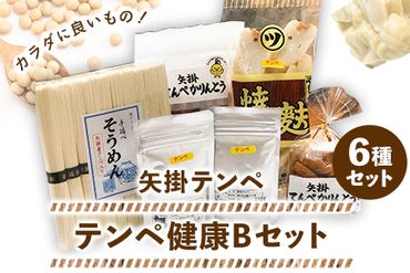 テンペ健康セットB 6種セット 矢掛テンペ [30日以内に出荷予定(土日祝除く)]手延べそうめん 粉末テンペ かりんとう 麩 大豆 発酵食品 スーパーフード 岡山県矢掛町産 発酵亭---osy_ytkenbset_30d_22_19000_6p---