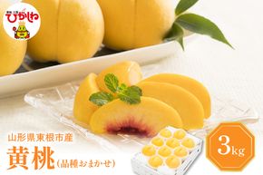 【2026年産 先行予約】 黄桃 (品種おまかせ) 3kg 秀品 化粧箱入り 東根農産センター提供 山形県 東根市 hi027-261
