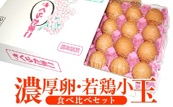 y򕌌RszyRc{{zZE{ʁ@Hה׃Zbg [No.187]