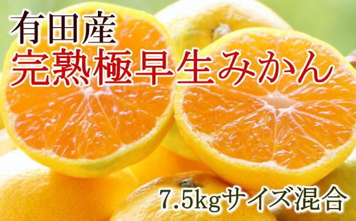 【厳選】紀州有田の完熟極早生みかん約7.5kg(サイズ混合)★2025年10月下旬頃より順次発送 BZ042
