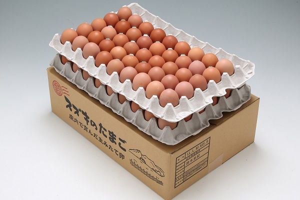 yR`cSzXYL̂܂@n{@MS`L@5kgi80`90j