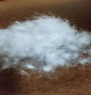 フランス産ホワイトダック93%羽毛布団　シングルサイズ（80サテン）　色：24763グリーン