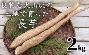 山芋(長芋) 2kg 西粟倉特産【数量限定】 c-FI-A02A